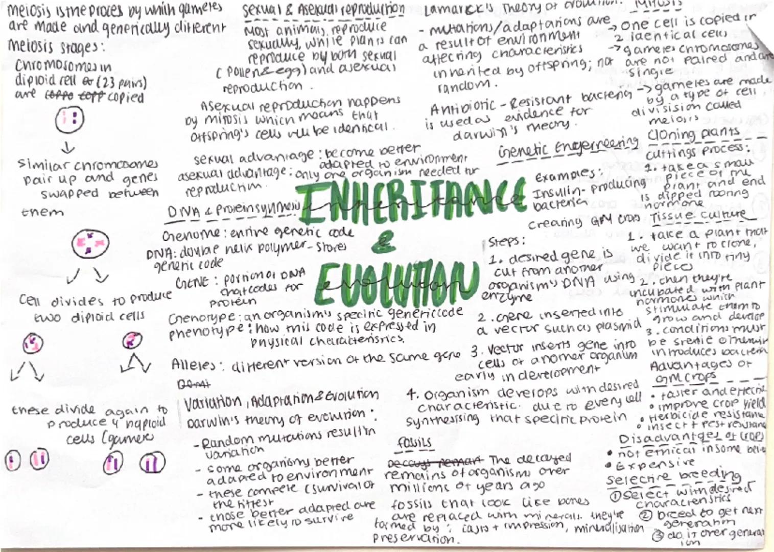 ## Crime and Punishment 12 marks

| Question | CLUES: | Paragraph 1 | Paragraph 2 | Paragraph 3 |
|---|---|---|---|---|
| Explain how the Me