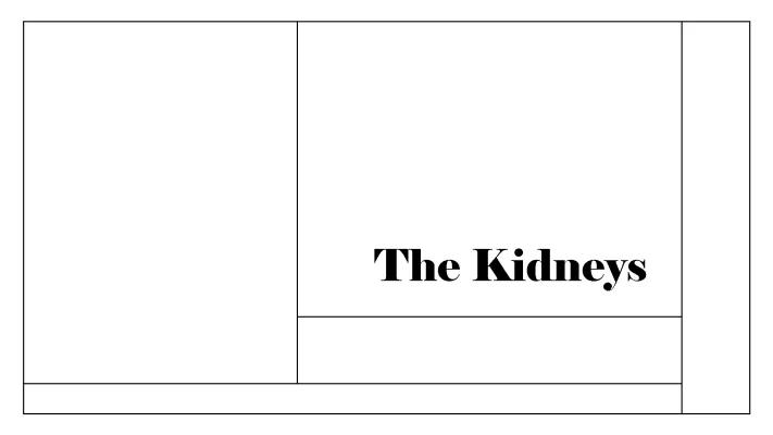 Know The Kidneys - functions, urine, ADH, and kidney failure thumbnail