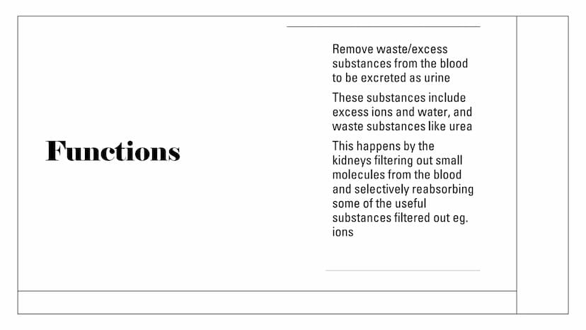 The Kidneys Functions
Remove waste/excess
substances from the blood
to be excreted as urine
These substances include
excessions and water, a