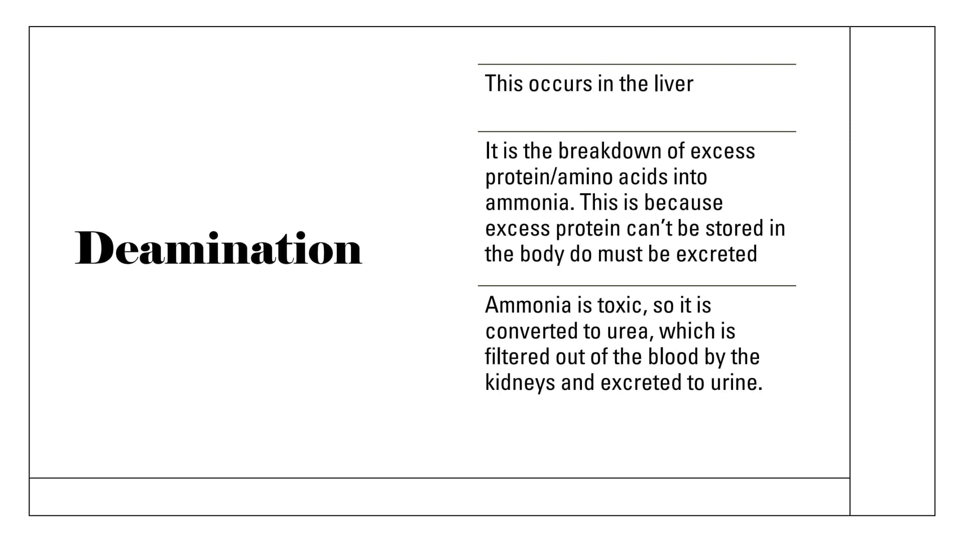 The Kidneys Functions
Remove waste/excess
substances from the blood
to be excreted as urine
These substances include
excessions and water, a