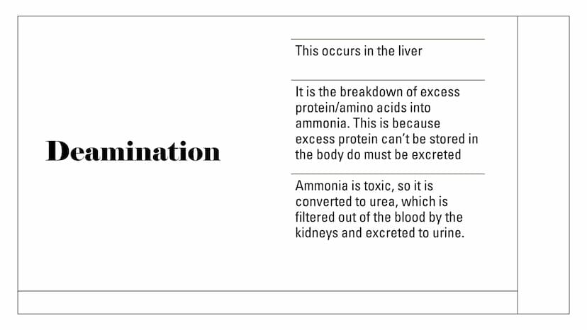 The Kidneys Functions
Remove waste/excess
substances from the blood
to be excreted as urine
These substances include
excessions and water, a