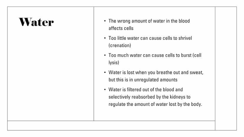 The Kidneys Functions
Remove waste/excess
substances from the blood
to be excreted as urine
These substances include
excessions and water, a