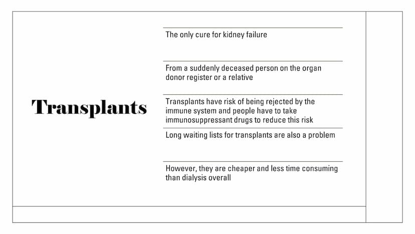 The Kidneys Functions
Remove waste/excess
substances from the blood
to be excreted as urine
These substances include
excessions and water, a