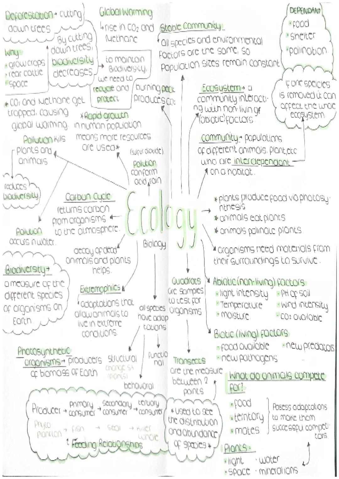 Deforestation cutting Global Warming
down trees
Irise in co₂ and Stable Community
DEPENDANT
food
By cutting Methane
why
down trees,
fall spe