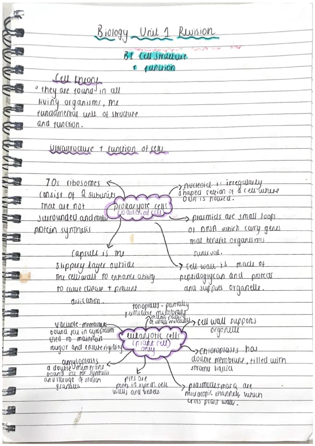 Biology Unit 1 Revision
Sell twent
• they are found in all
ง
living organismi, me
B1 cell structure
+ function
fundamental unit of structure