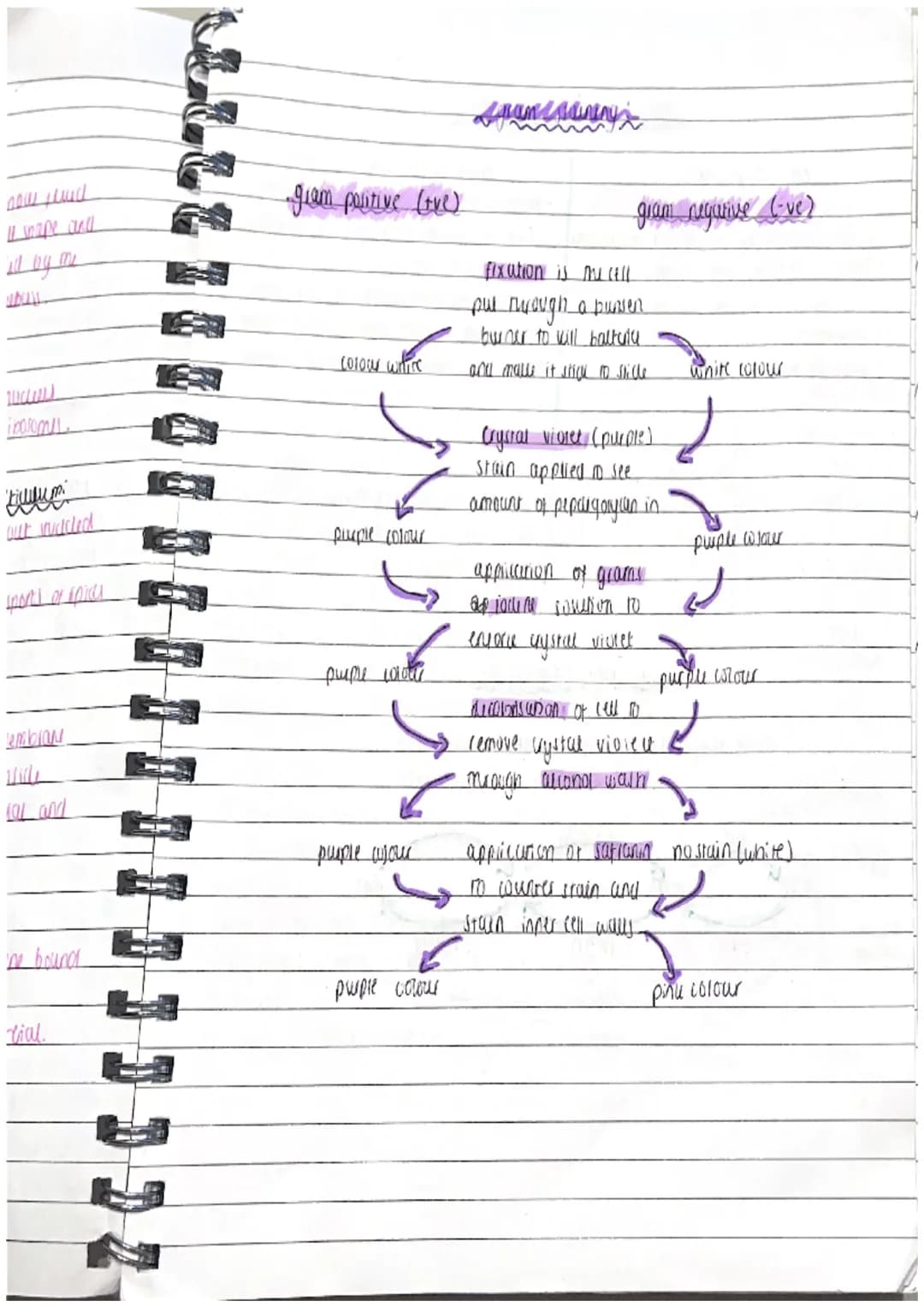 Biology Unit 1 Revision
Sell twent
• they are found in all
ง
living organismi, me
B1 cell structure
+ function
fundamental unit of structure