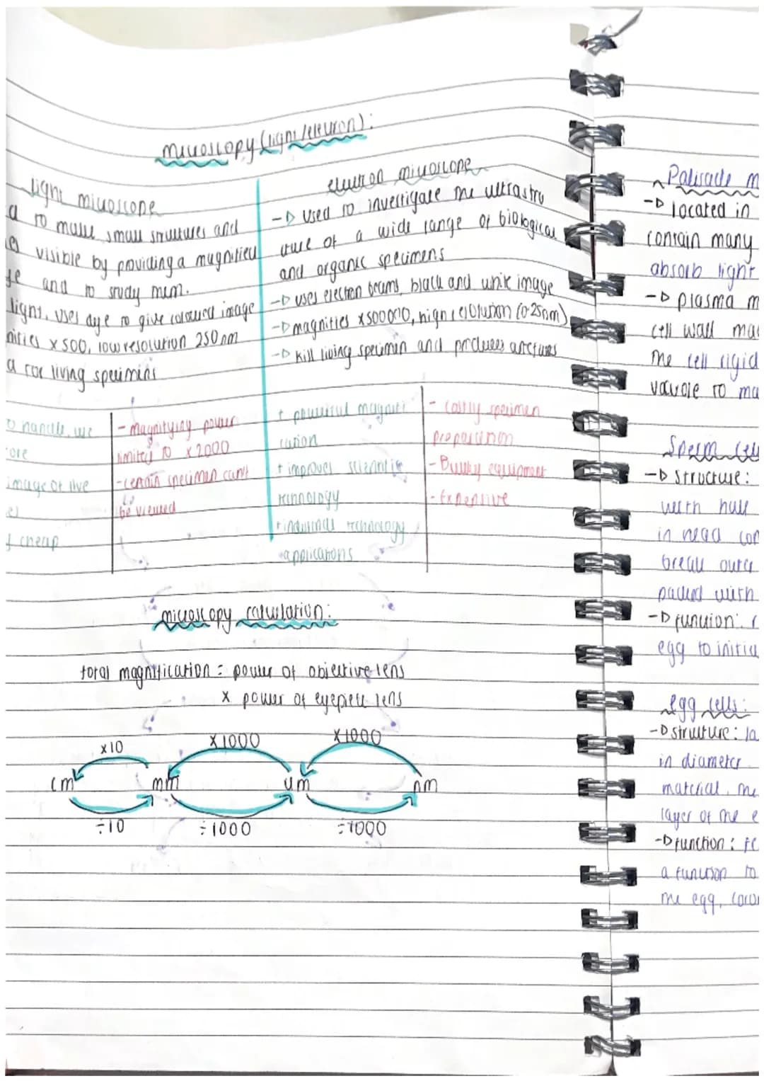 Biology Unit 1 Revision
Sell twent
• they are found in all
ง
living organismi, me
B1 cell structure
+ function
fundamental unit of structure