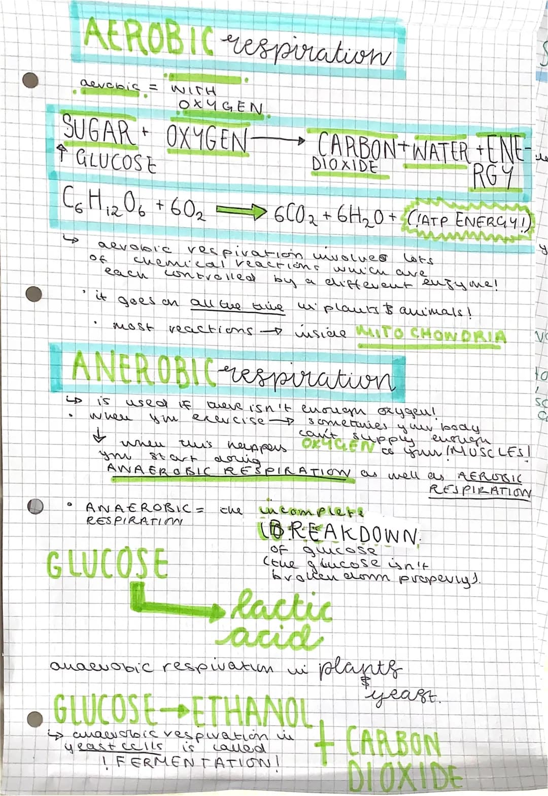 O
AEROBIC respiration
S
devolis =
OXYGEN
SUGAR OXYGEN
DIOXIDE
CARBON WATER ENE
RGY
GLUCOSE
C6H₁2O6 + 60₂ 6CO₂ + 6H₂O + (!ATP ENERGY!)
O
of
'