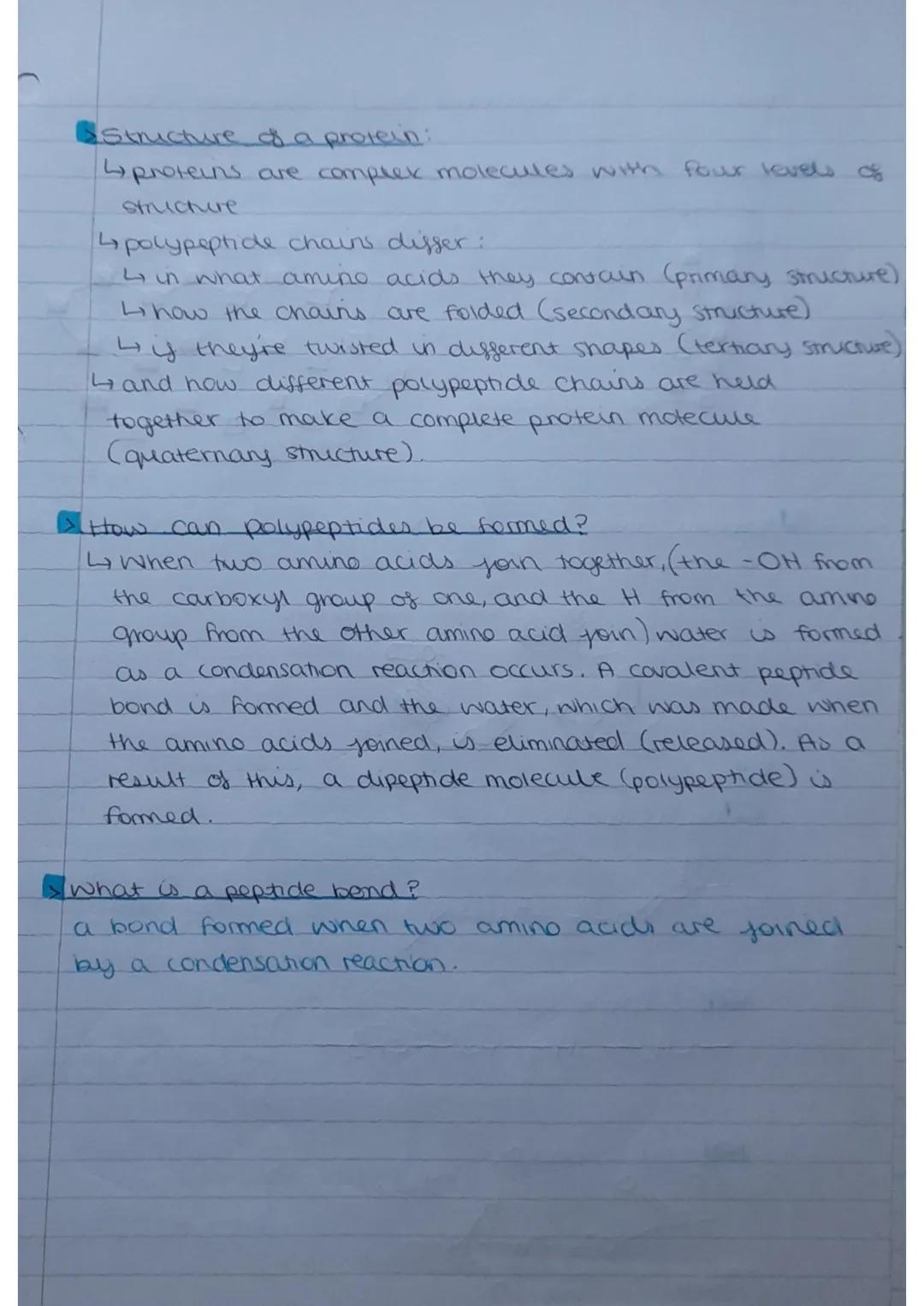 # Amino acid structure:
Proteins - Amuro
aude


→ amino
group
R-group
OH
carboxyl
→different amino acid
means a differer
R-group, which mean