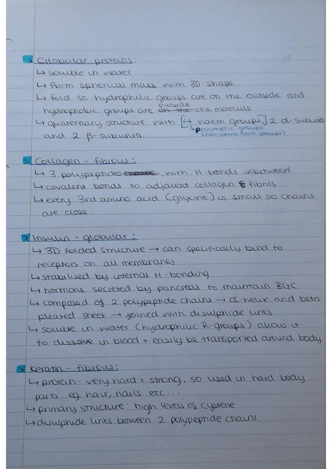 # Amino acid structure:
Proteins - Amuro
aude


→ amino
group
R-group
OH
carboxyl
→different amino acid
means a differer
R-group, which mean