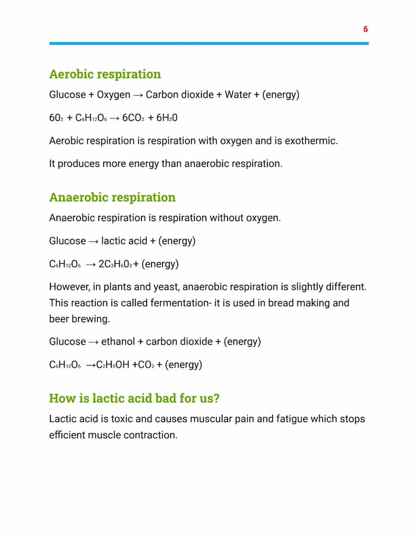 =
Bioenergetics
Biology Topic 2- AQA combined science
Photosynthesis
light
Carbon dioxide + Water → oxygen + glucose
6CO2 + 6H20 → 602 + C6H