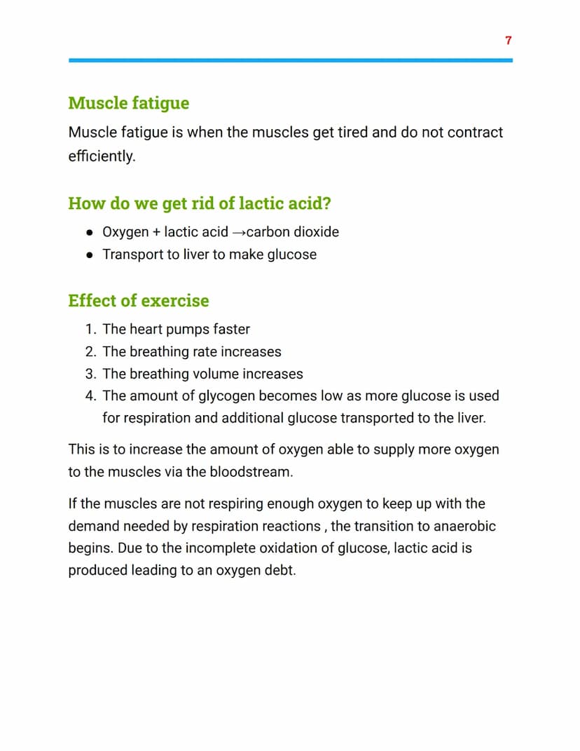 =
Bioenergetics
Biology Topic 2- AQA combined science
Photosynthesis
light
Carbon dioxide + Water → oxygen + glucose
6CO2 + 6H20 → 602 + C6H