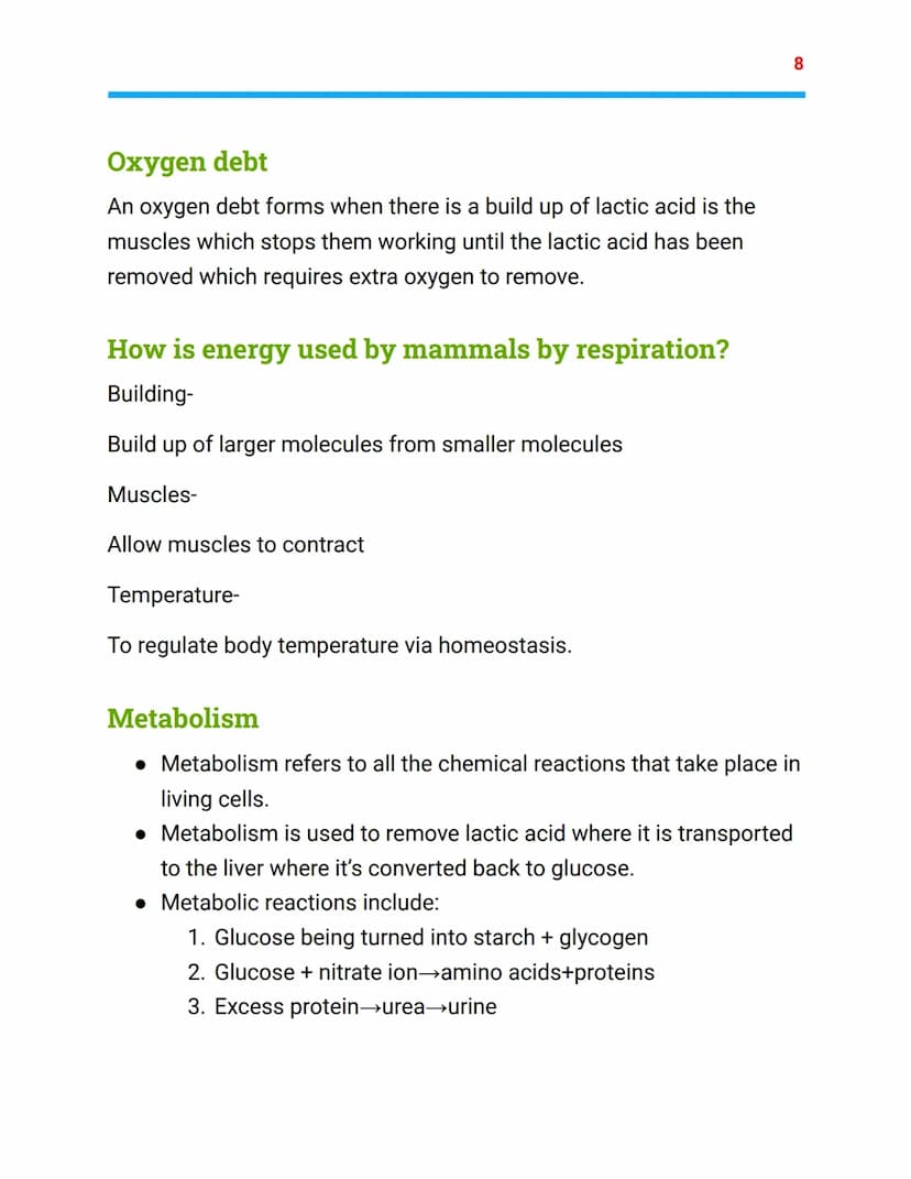 =
Bioenergetics
Biology Topic 2- AQA combined science
Photosynthesis
light
Carbon dioxide + Water → oxygen + glucose
6CO2 + 6H20 → 602 + C6H