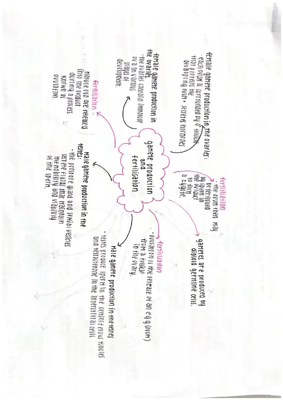 key points of unit 2