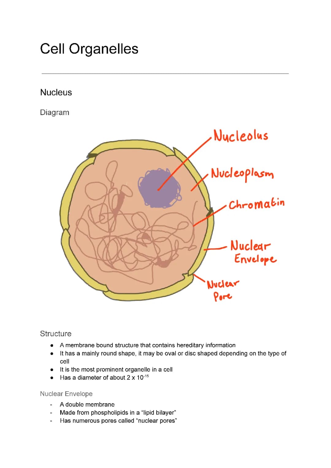 Learn About Cell Organelles: Diagrams, PDF Notes, and Fun Facts!