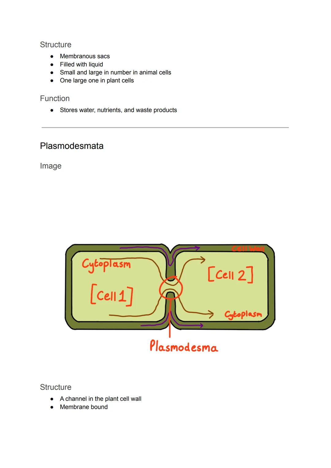 Cell Organelles
Nucleus
Diagram
It is the most prominent organelle in a cell
● Has a diameter of about 2 x 10-15
Nuclear Envelope
Nucleolus
