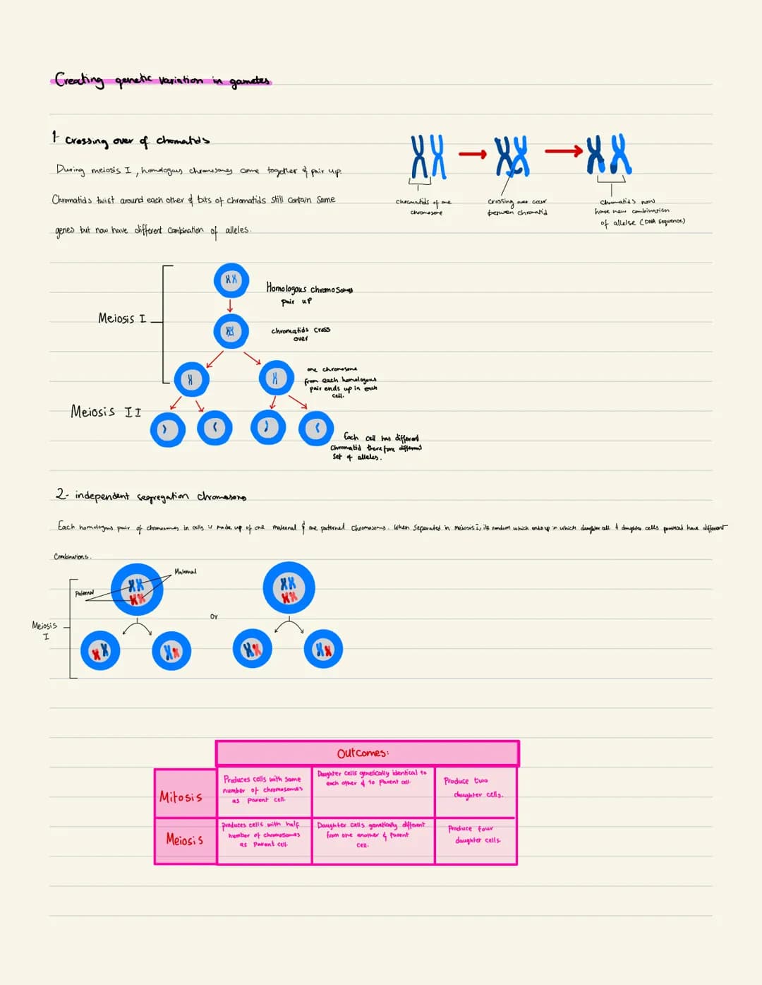 2 Cell
Cell cycle:
Gap phase 2
(cell krop gewing, pertin
needed for division of bade)
division
Synthesis
Ceell replicate its DNA,
ready to d