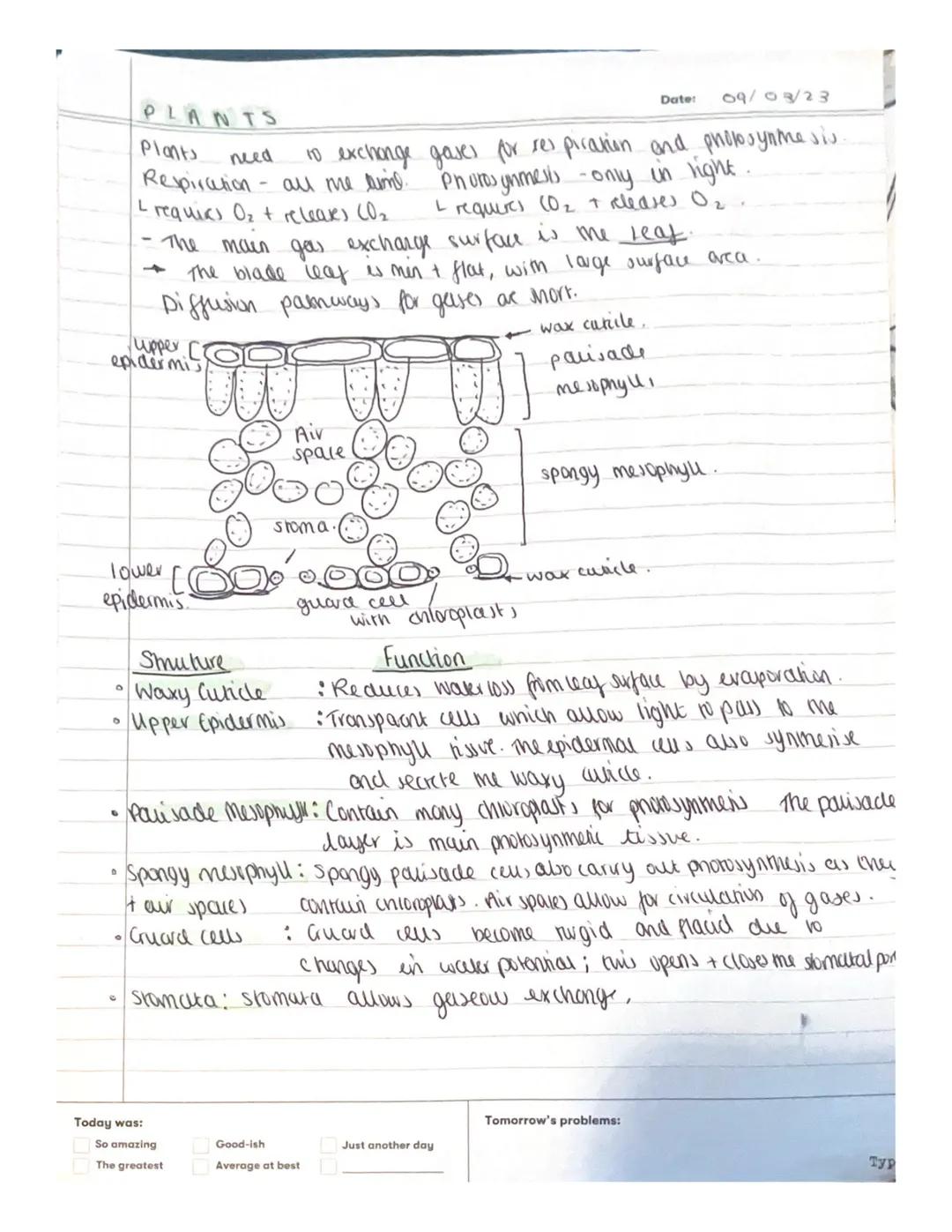 # 2-2 Adaptalions for
Gas Exchange.
Date: 02/02/23
*   the movement of water particles onrough a wemembrane s
known a Osmors
*   Diffusion i
