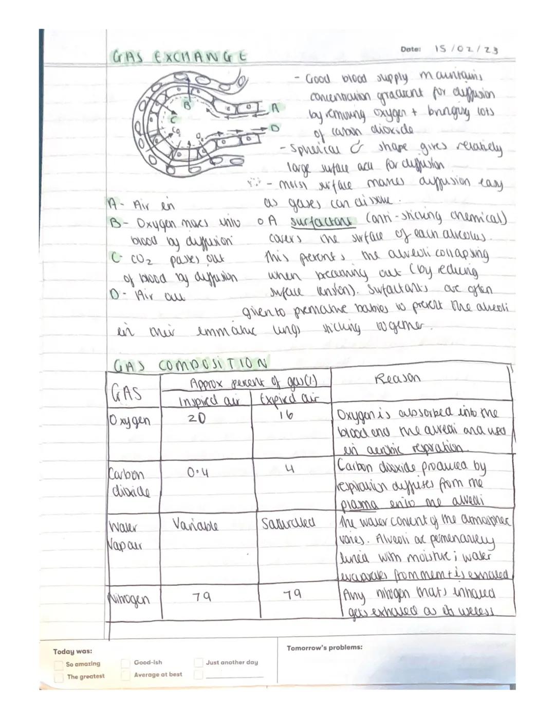 # 2-2 Adaptalions for
Gas Exchange.
Date: 02/02/23
*   the movement of water particles onrough a wemembrane s
known a Osmors
*   Diffusion i