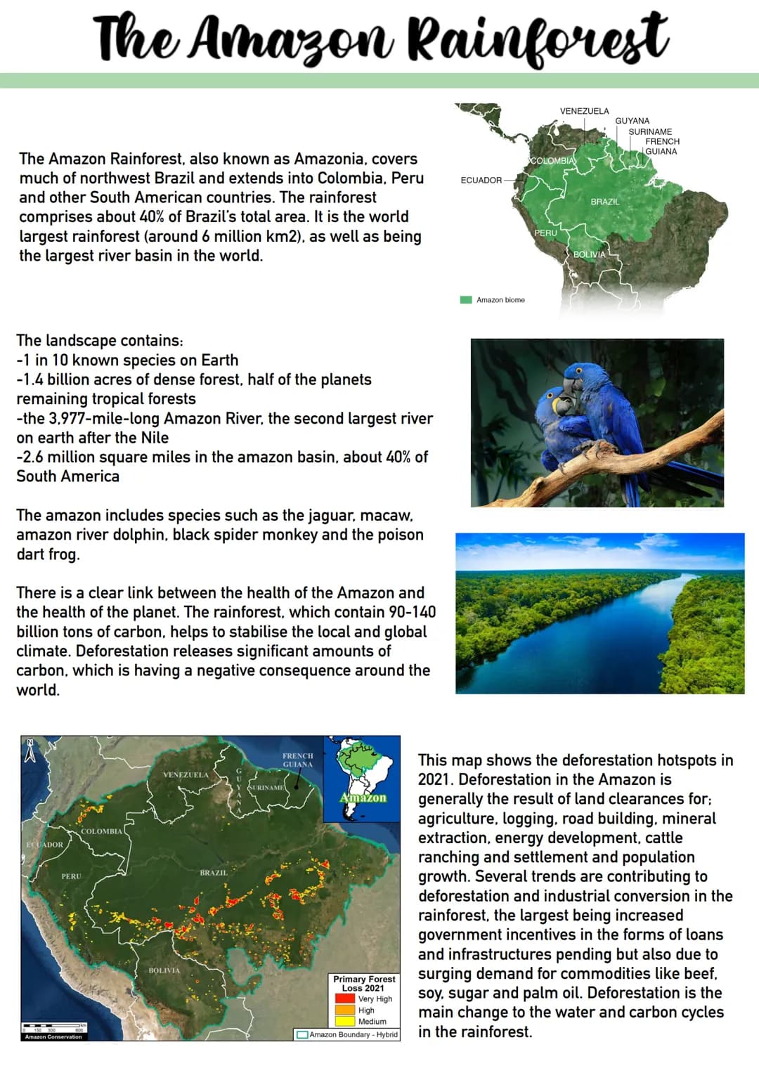 
<p>The Amazon Rainforest, also known as Amazonia, covers much of northwest Brazil and extends into Colombia, Peru, and other South American