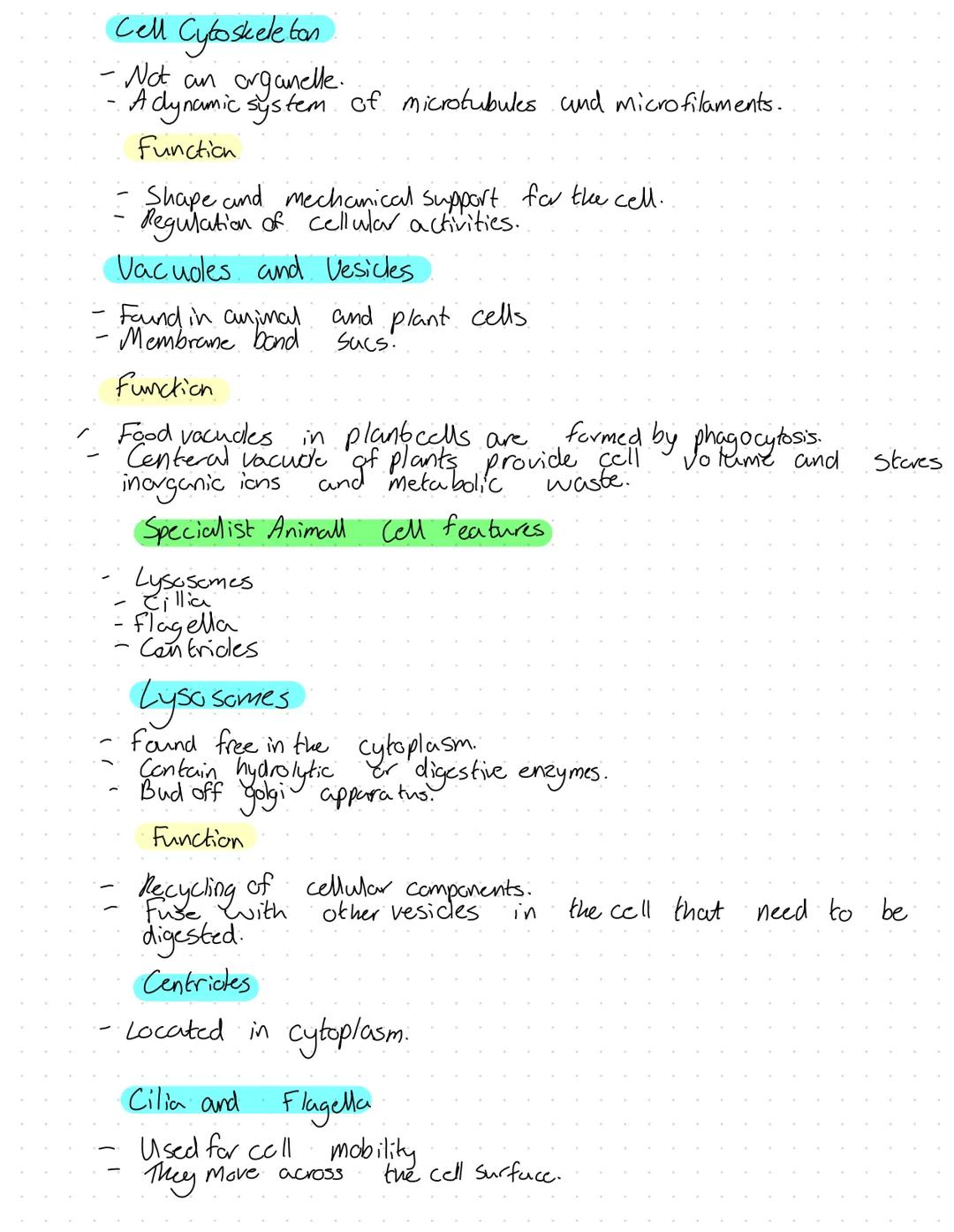 Organelles
Nucleus
Surranded by nuclear envelope.
Has double membrane.
Function
of chromatin
Contains genetic material in the form
Chromatin