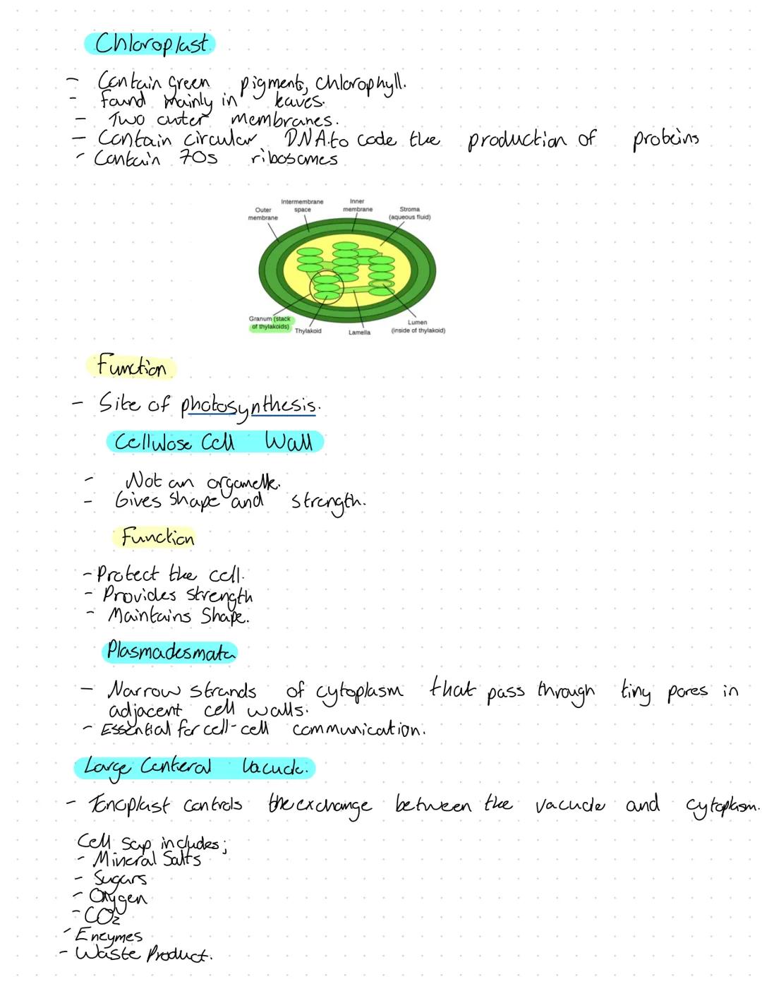 Organelles
Nucleus
Surranded by nuclear envelope.
Has double membrane.
Function
of chromatin
Contains genetic material in the form
Chromatin