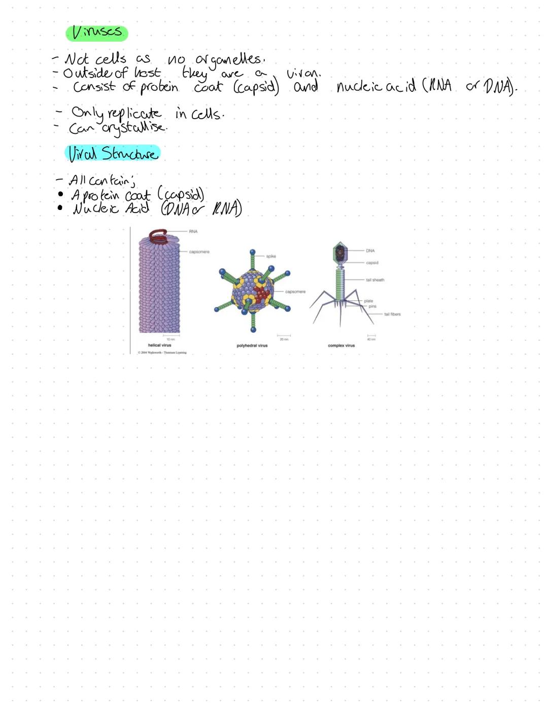 Organelles
Nucleus
Surranded by nuclear envelope.
Has double membrane.
Function
of chromatin
Contains genetic material in the form
Chromatin