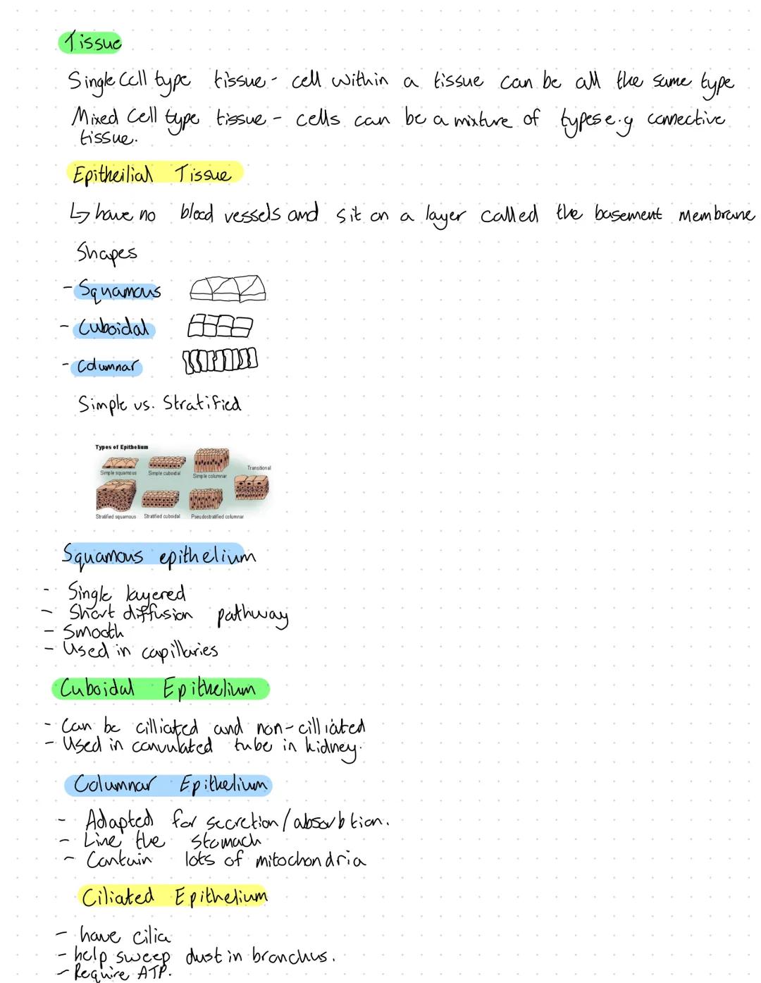 Organelles
Nucleus
Surranded by nuclear envelope.
Has double membrane.
Function
of chromatin
Contains genetic material in the form
Chromatin