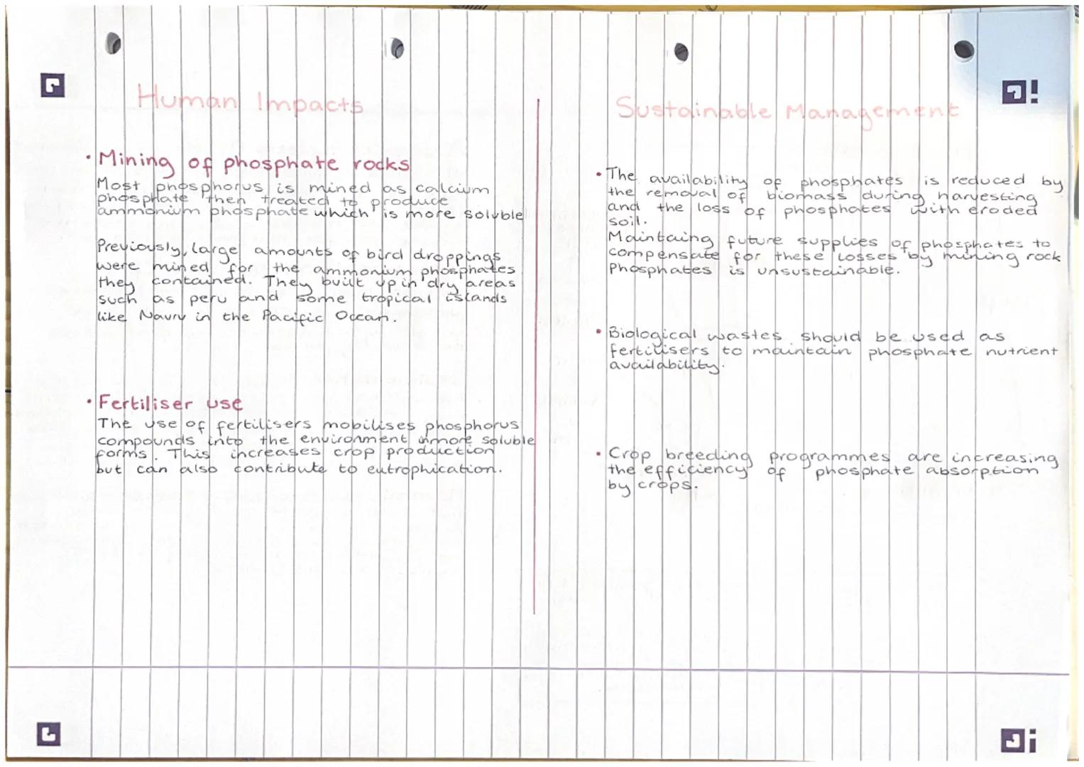 !G
Uplift
ic
The Phosphorus Curie.
Phosphate rocks-
on land
Marine
Sediments.
weathering
Regolith
Sedimentation
osion
Death
7
Weathering.
De