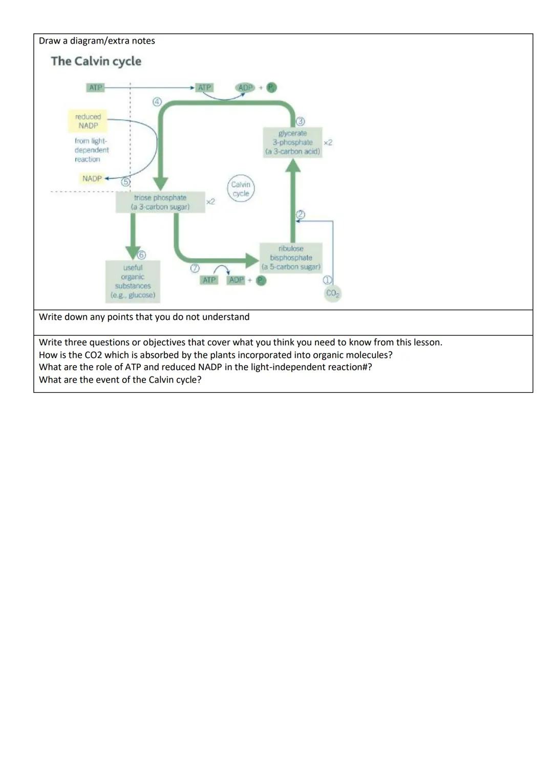 Lesson Title:
Overview of photosynthesis
Write the keywords for the lesson and describe them.
Word
Photosynthesis
Glucose
ATP
Photolysis
Co-
