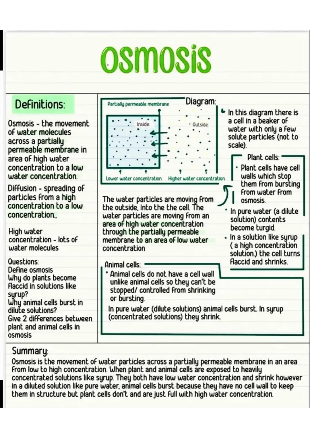 Osmosis 