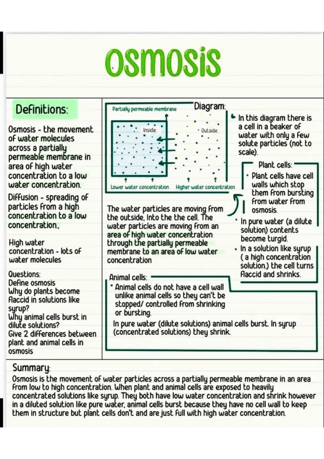 Definitions:
Osmosis - the movement
of water molecules
across a partially
permeable membrane in
area of high water
concentration to a low
wa
