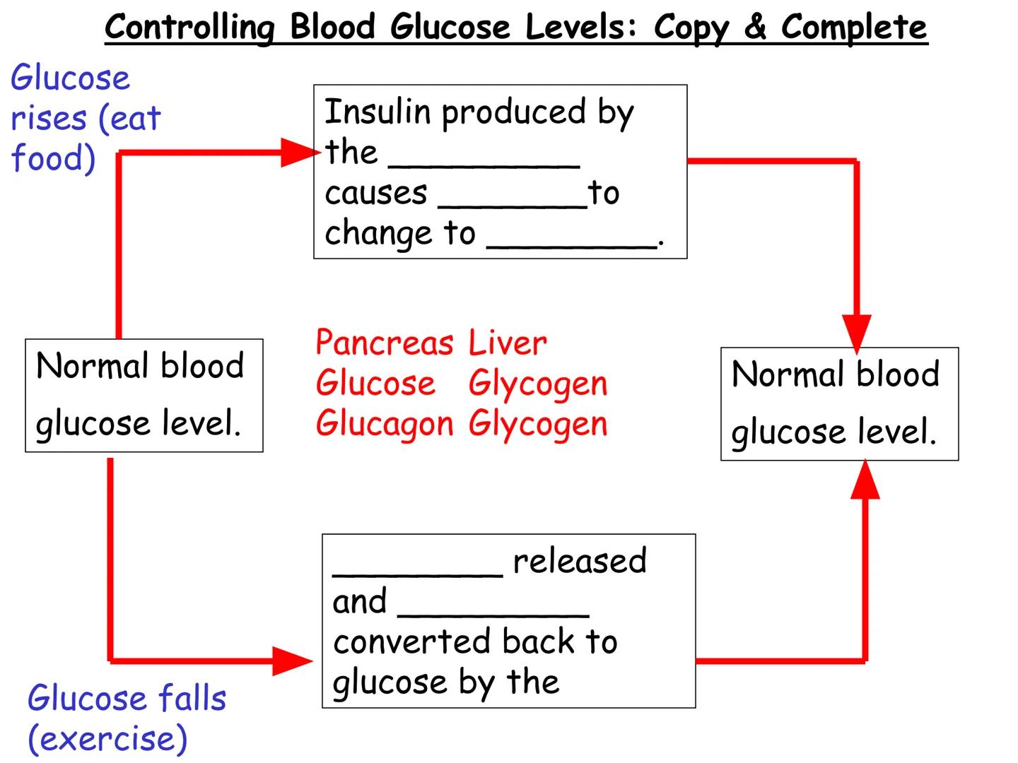 Hormones
The human body contains many organs,
which need to communicate with one
another. Hormones carry information.
between organs, hormon