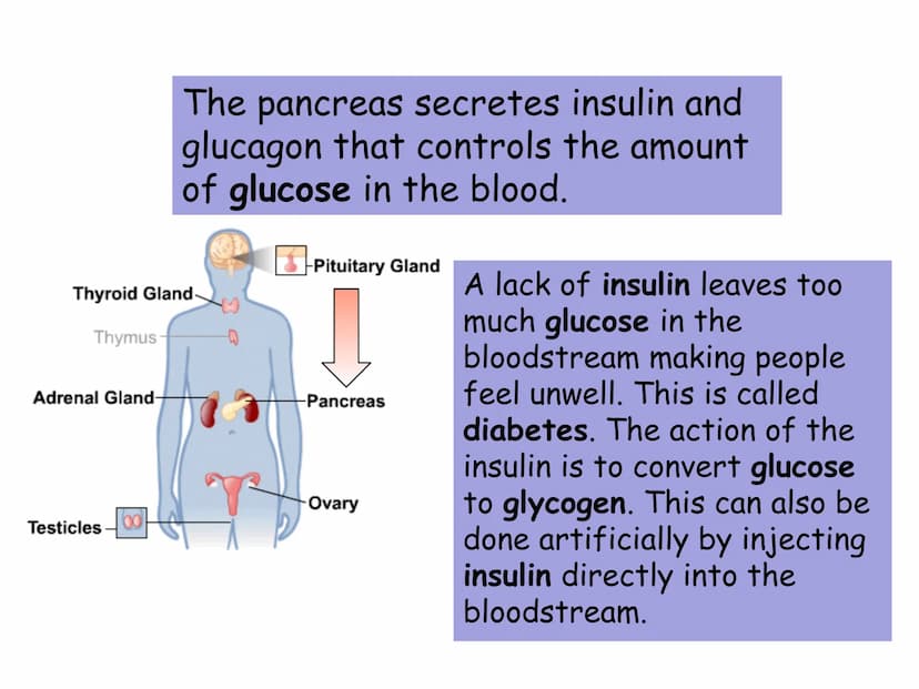 Hormones
The human body contains many organs,
which need to communicate with one
another. Hormones carry information.
between organs, hormon