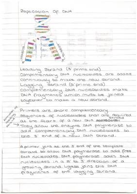 Know Replication Of DNA - Higher Biology thumbnail