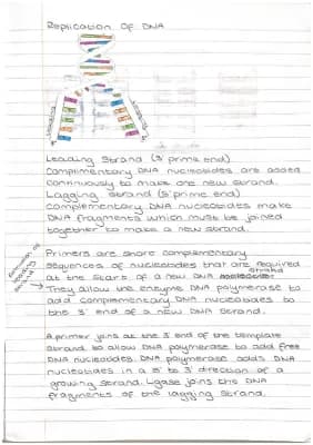 Know Replication Of DNA - Higher Biology thumbnail