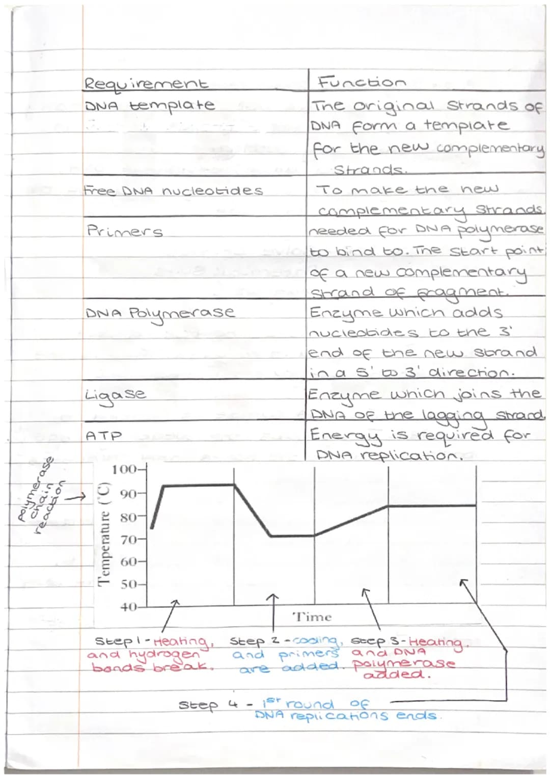 formation of
Strading
Replication of DNA
bu ของ
3'
Leading Strand (3' prime end).
Complimentary DNA
nucleotides are added
continuously to ma