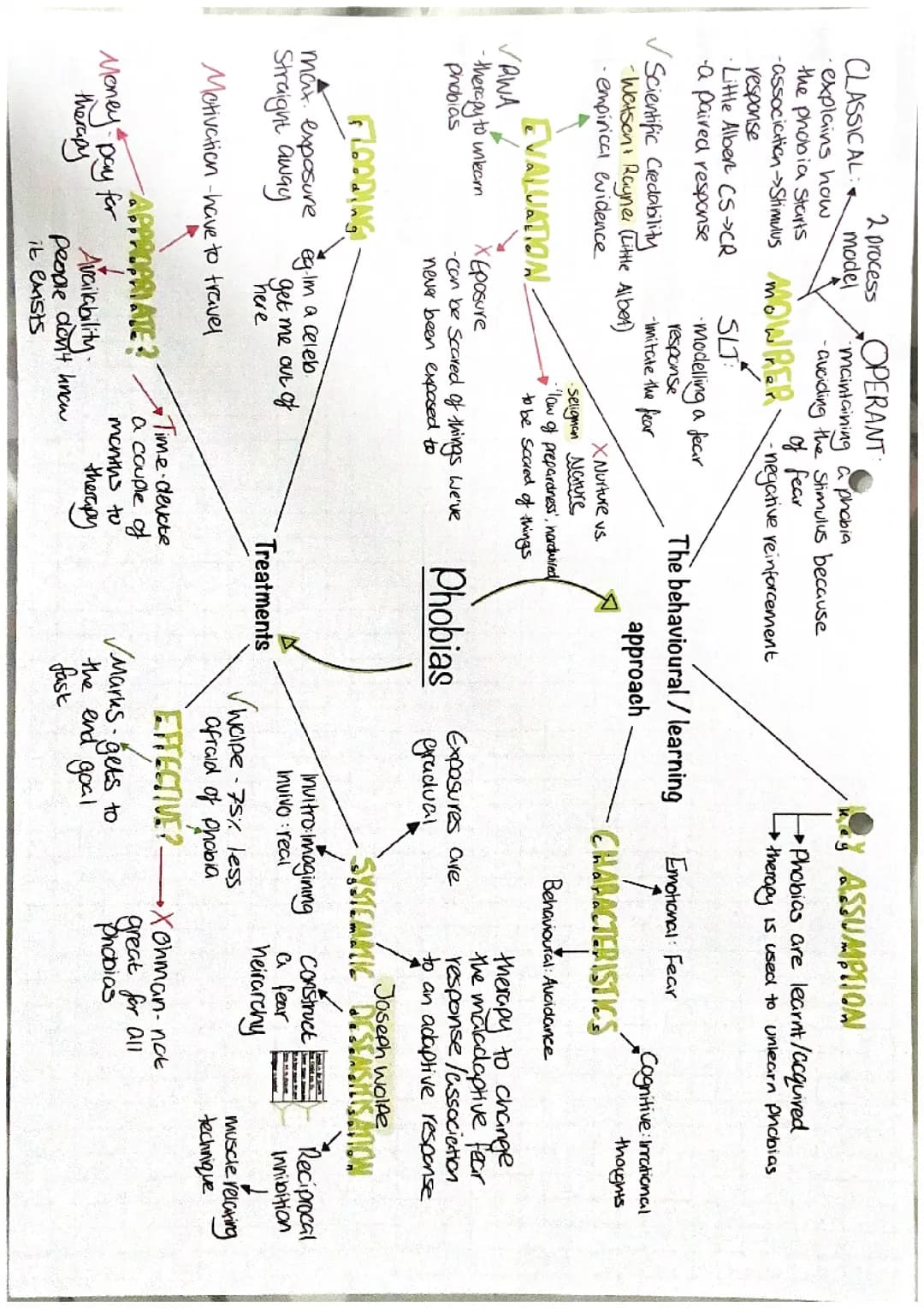 Psychopathology mindmaps