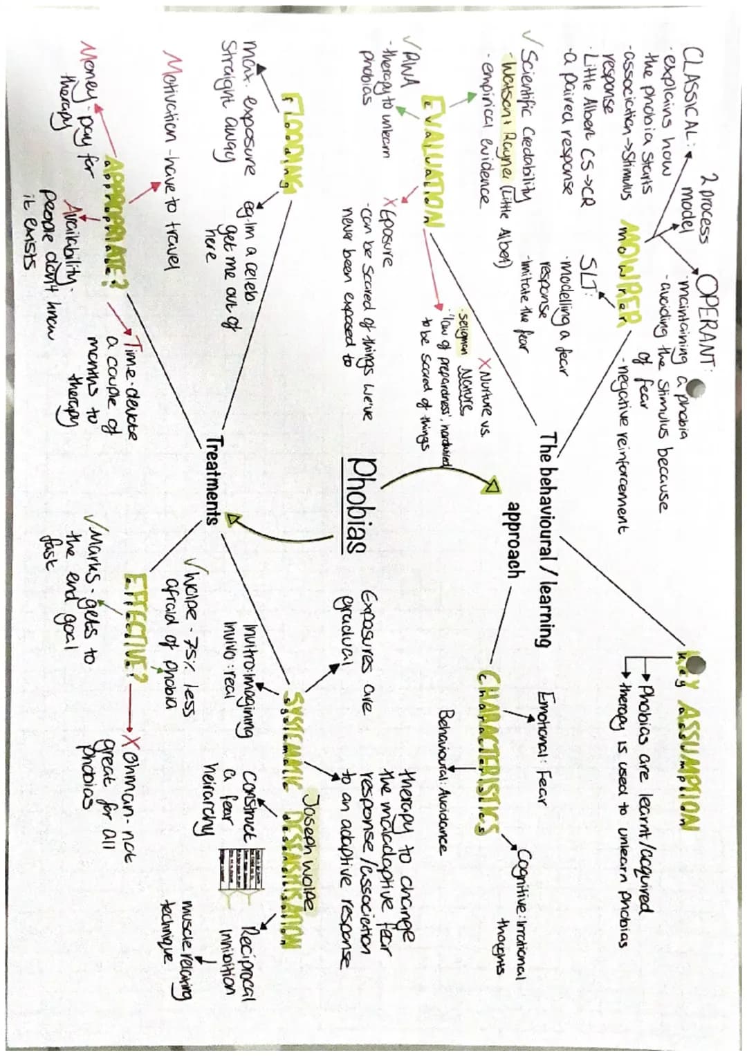 2 process
CLASSICAL model
•explains how
the phobia Starts
OPERANT
•Maintaining a phobia
-avoiding the Stimulus because
of fear
-association-