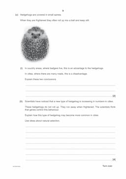 9