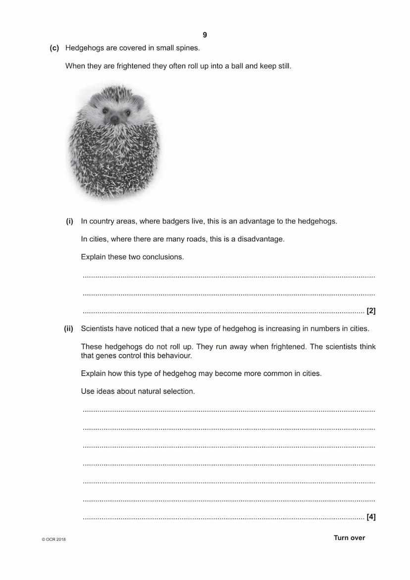 *7023821578 *
OCR
Oxford Cambridge and RSA
H
GCSE (9-1) Biology A (Gateway Science)
J247/04 Paper 4, B4-B6 and B7 (Higher Tier)
Monday 11 Ju