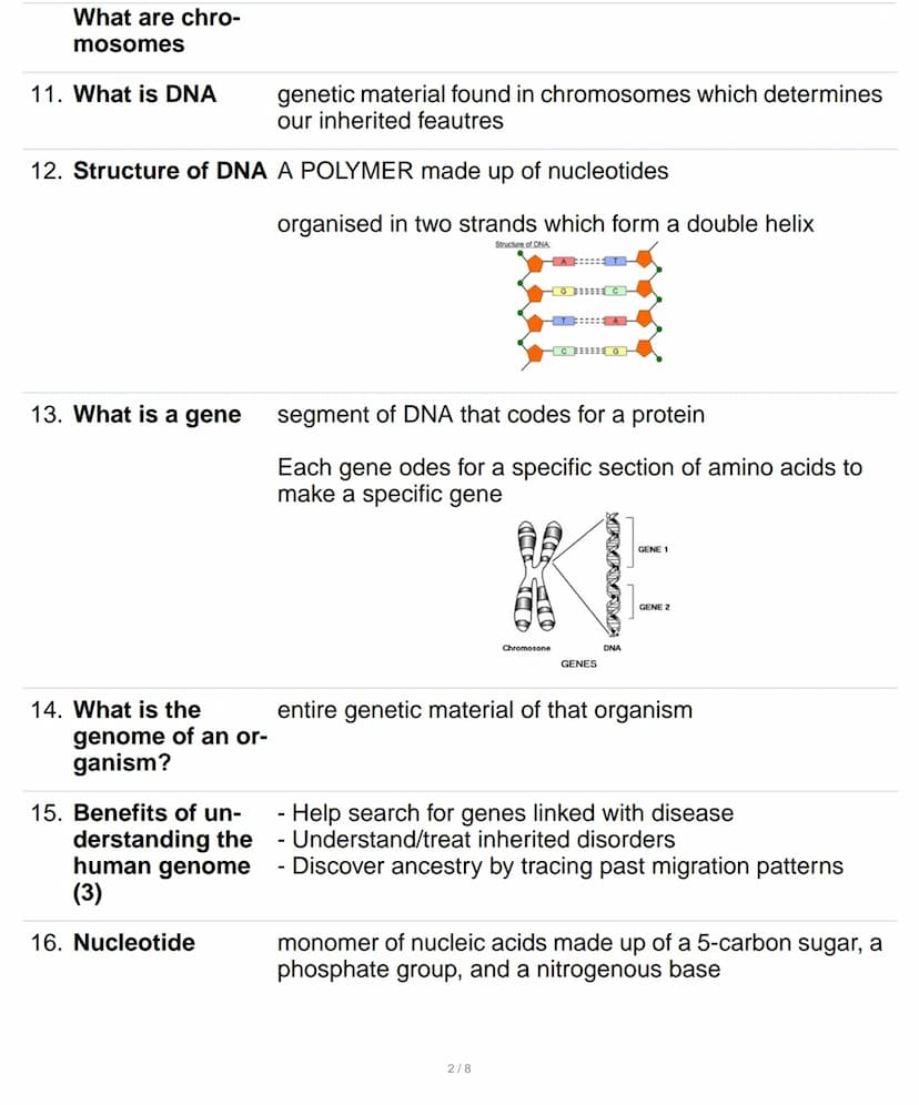 1. How many chro- 23 pairs
mosomes are
there in human
cells
2.
Mitosis
one cell is copied into two identical cells
3. Which is the only game