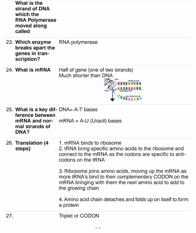 1. How many chro- 23 pairs
mosomes are
there in human
cells
2.
Mitosis
one cell is copied into two identical cells
3. Which is the only game