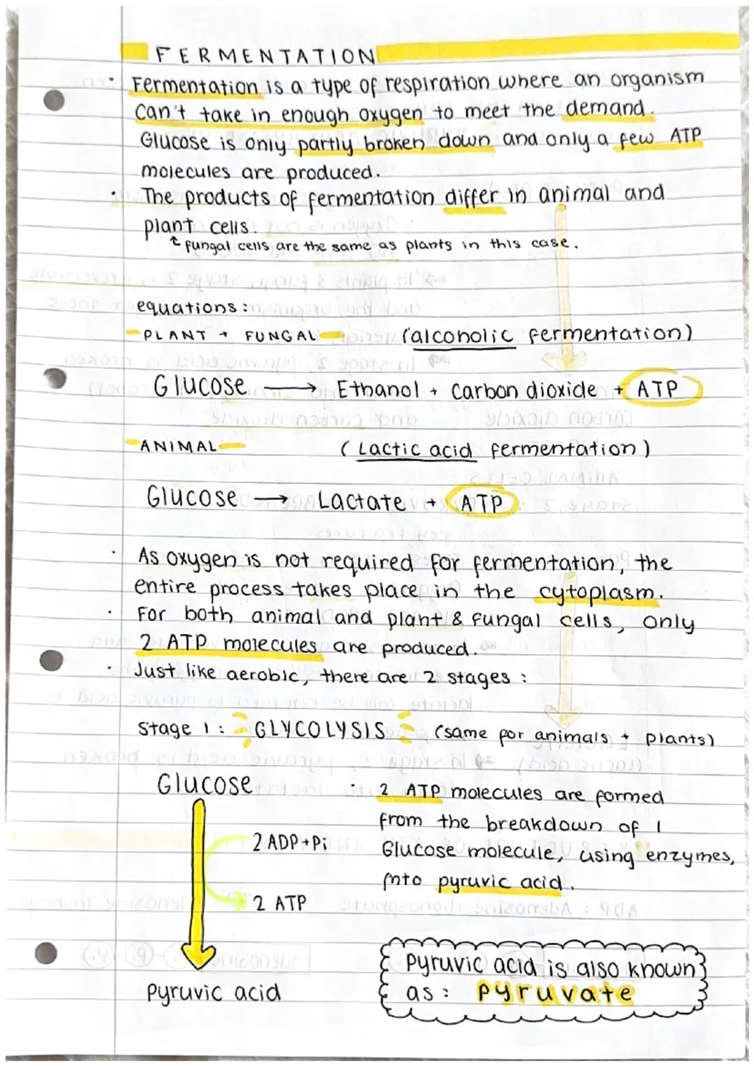 Respiration
w what is respiration ?
cell respiration
of glucose
energy
f
ATP
Kir
yaror
ADP+Pi
equation :
21 JOOXTO
bhilworks of im. Satt on 