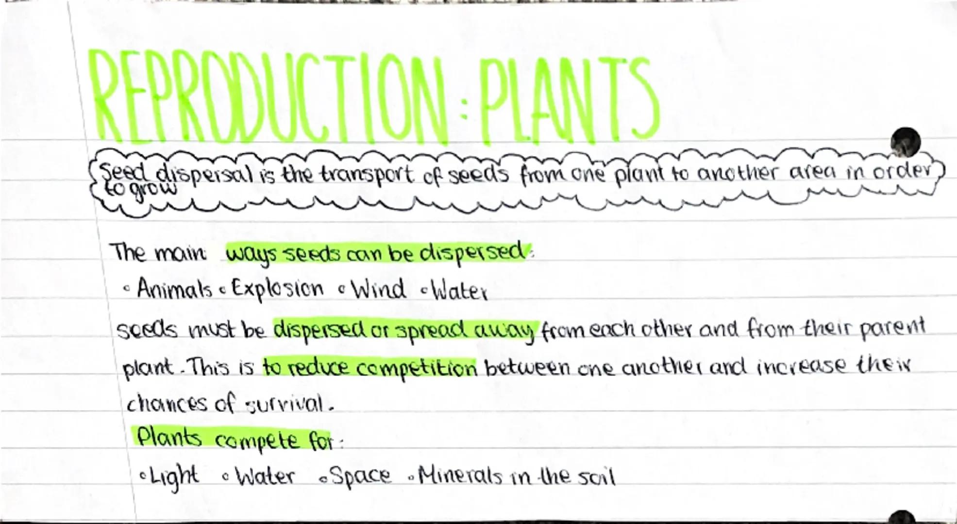 --- OCR Start ---
REPRODUCTION: PLANTS
Flowering plants reproduce sexually through pollination. The flowers contain male
sex organs called s