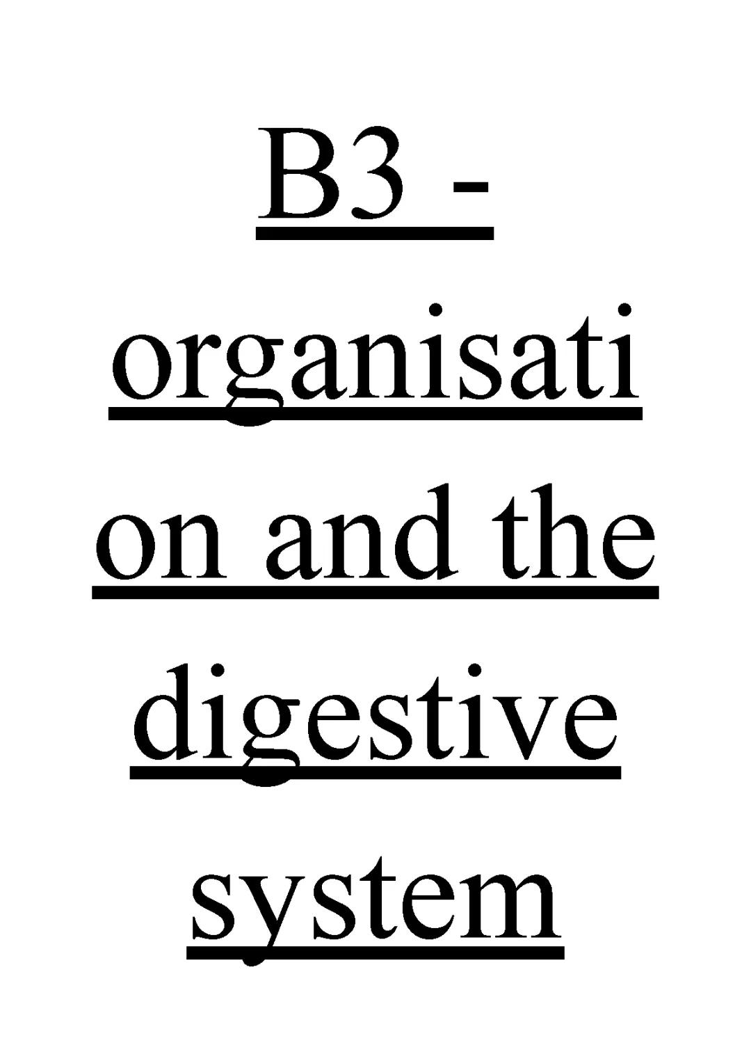 GCSE Biology B3: Organisation and Digestive System AQA Notes PDF