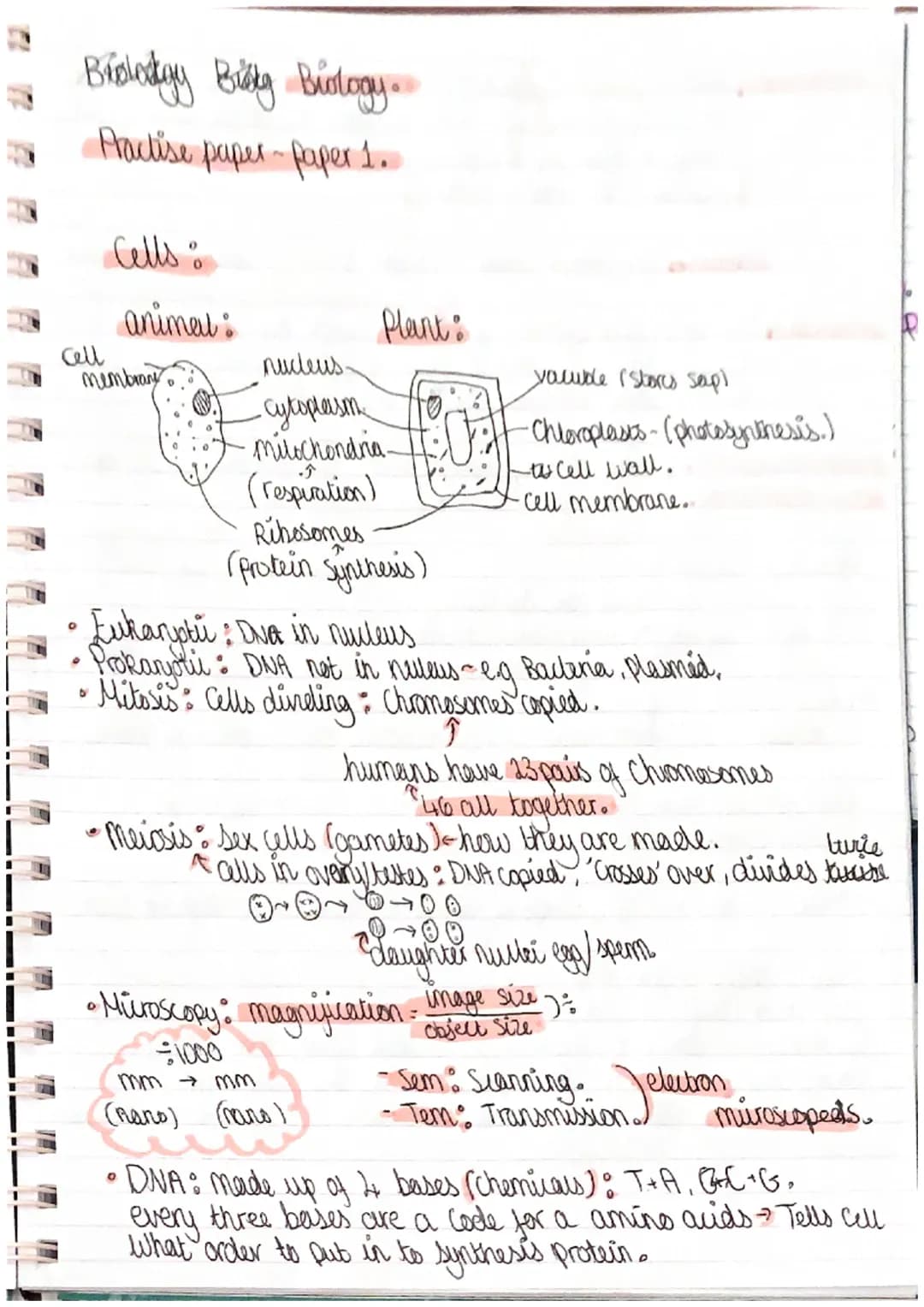 Brolodgy Bitty Biology.
Practise paper-paper 1.
Cell
Cells &
animal:
membrany
b
Plant:
to,
nucleus.
-cytoplasm
mitochondria-
(respiration)
R