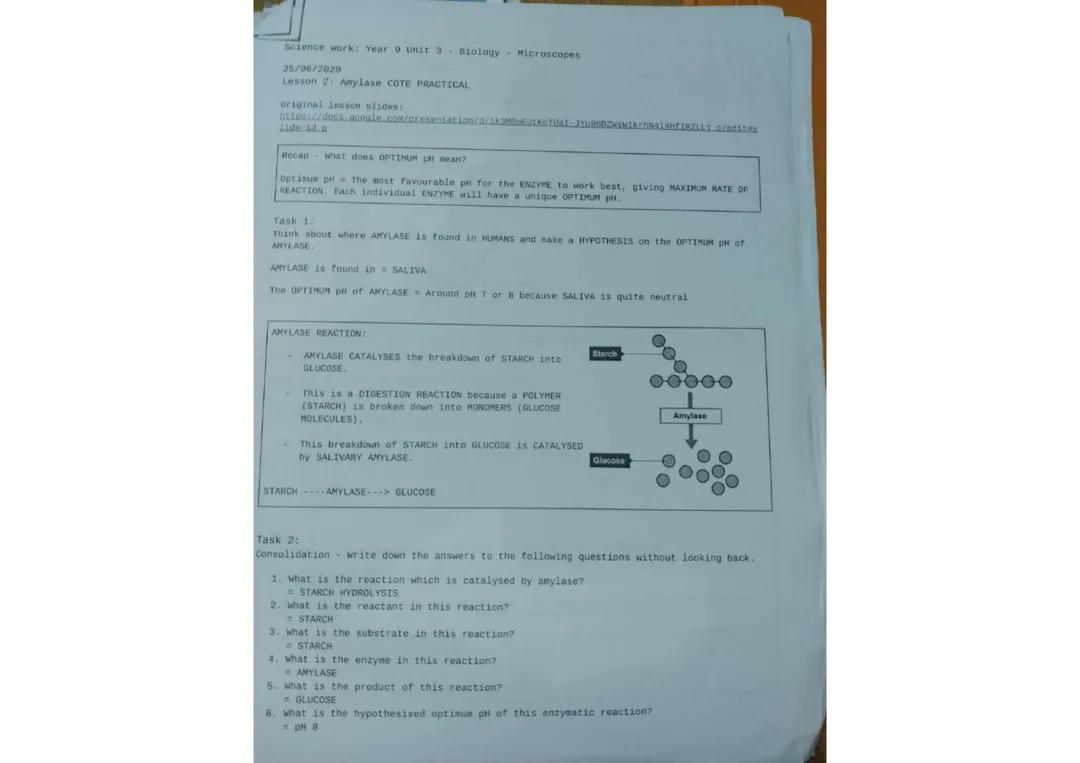 GCSE Biology - Enzymes - AMYLASE *CORE PRACTICAL* Experiment Notes & Exam Question [Answered]