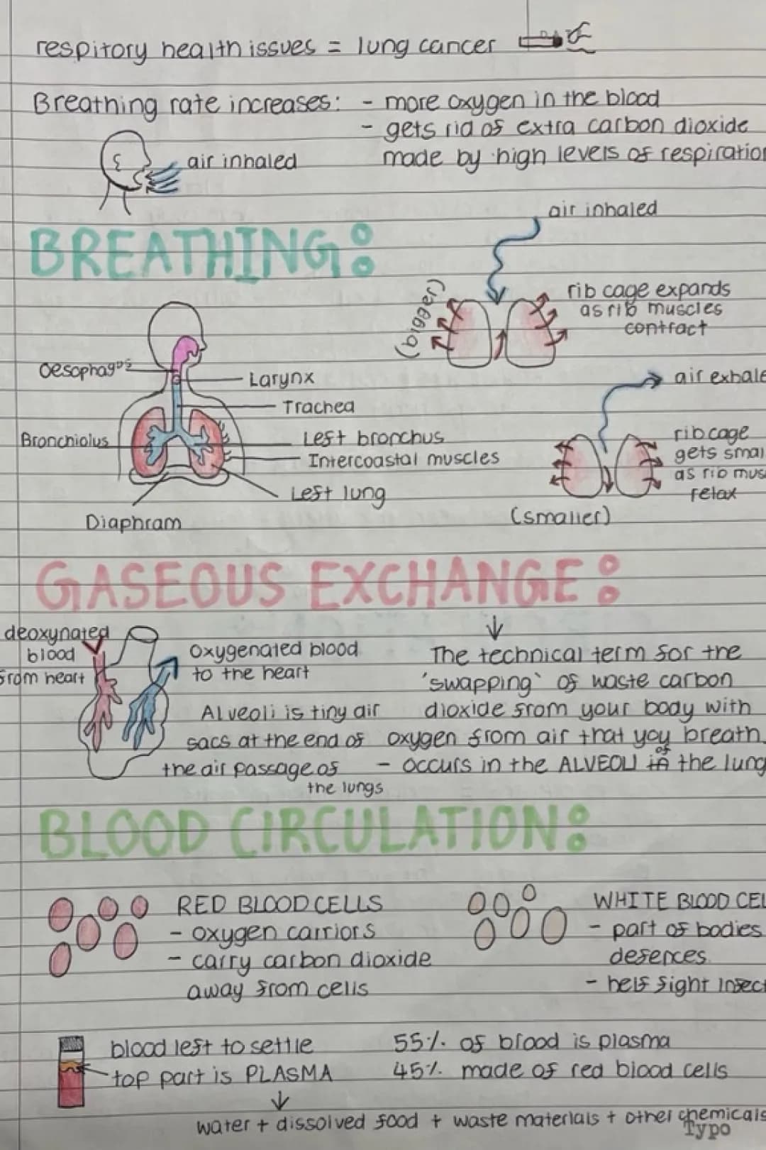 Fun Facts About Lungs: How Lung Cancer and Air Pollution Affect Us