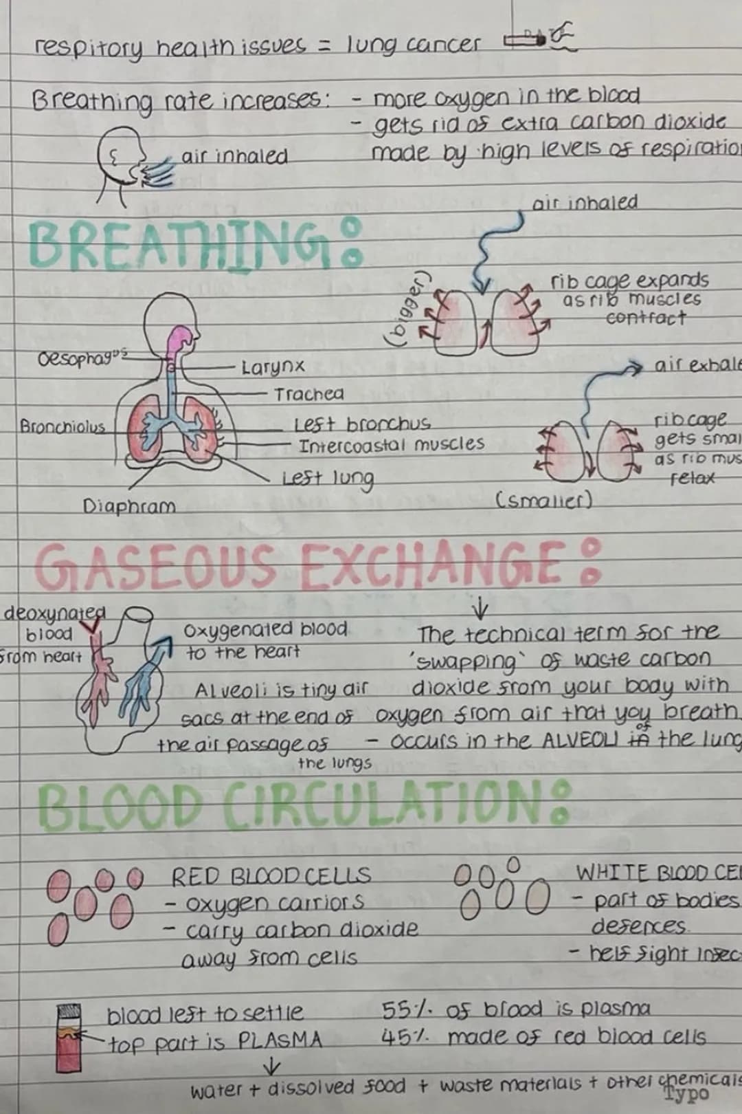 respitory health issues = lung cancer
Breathing rate increases: - more oxygen in the blood.
air inhaled
GE
BREATHING
DALE
oesophagus
Bronchi